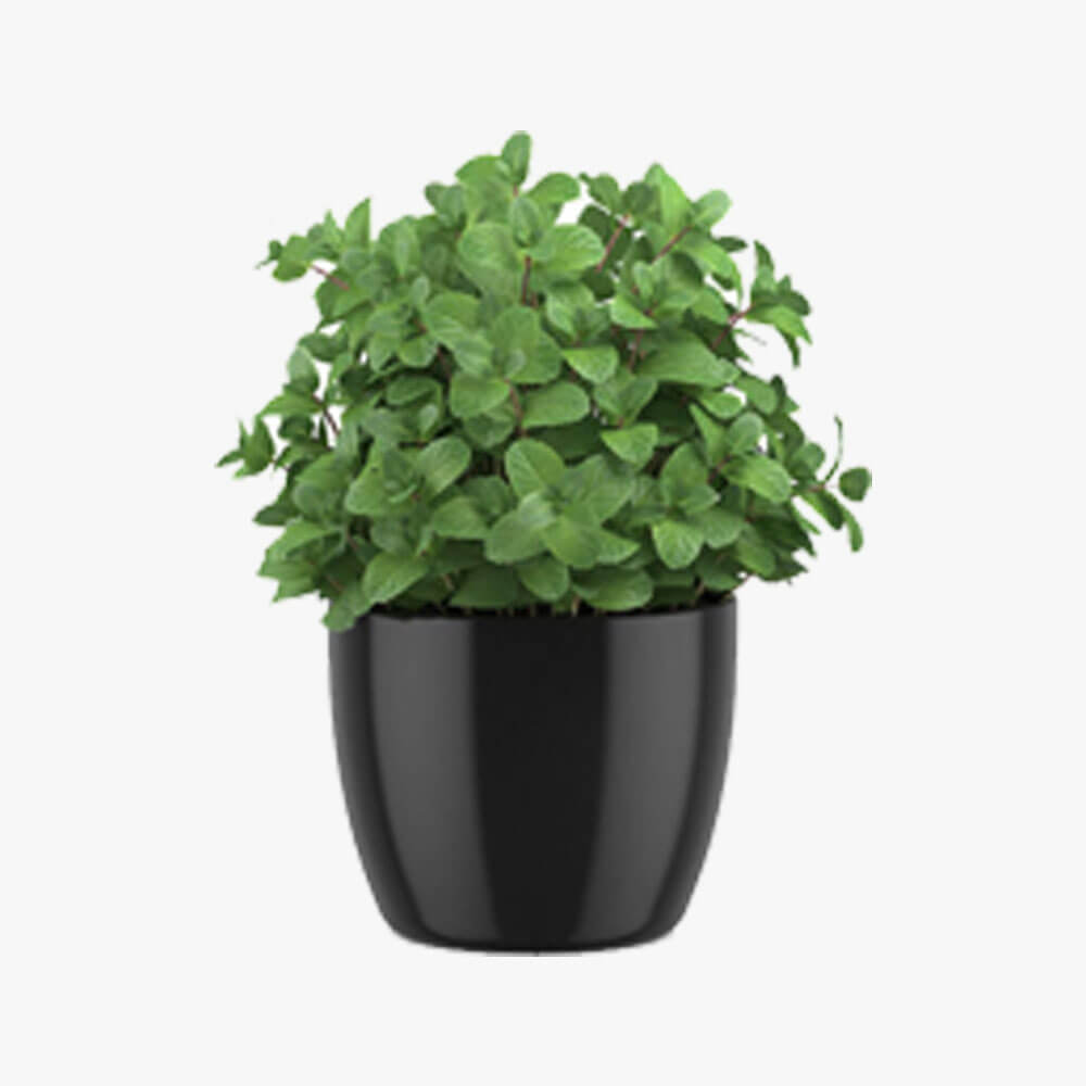 Artisanal Vase